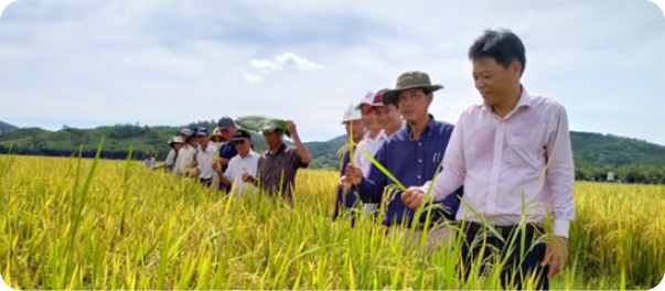 Climate-Smart Rice Cultivation Initiative_Featured Image