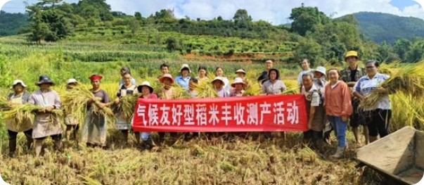 Climate-Friendly Rice Growing China Program2 (1)